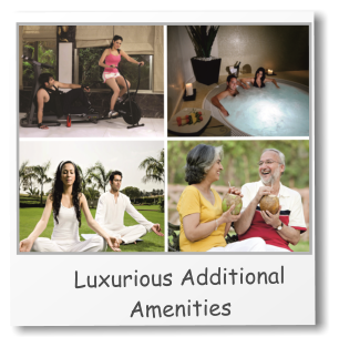 Luxurious Additional Amenities