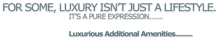 FOR SOME, LUXURY ISNT JUST A LIFESTYLE.ITS A PURE EXPRESSION.......Luxurious Additional Amenities.........